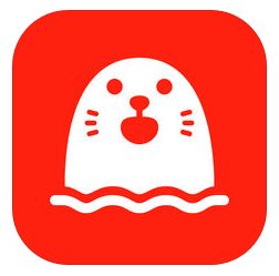 Holla app logo icon